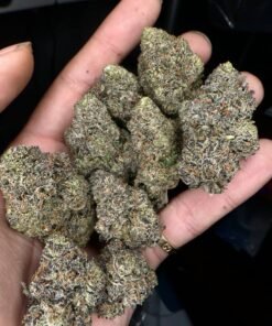 Looking for Candy piff strain for sale online in USA , UK , AUSTRALIA | Where to buy Candy piff strain for sale online in USA , UK , AUSTRALIA , EUROPE..