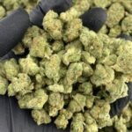 Cherry Dosido Strain