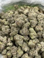 Grapes-N-Cream-Large-strain Looking for Grapes N Cream Large strain for sale online in UK , USA | Where to Look for Grapes N Cream Large strain for sale online in UK , USA , AUSTRALIA