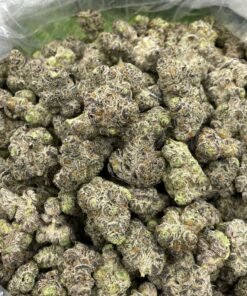 Looking for Grapes N Cream Large strain for sale online in UK , USA | Where to Look for Grapes N Cream Large strain for sale online in UK , USA , AUSTRALIA