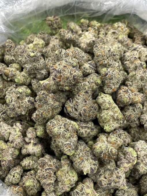 Looking for Grapes N Cream Large strain for sale online in UK , USA | Where to Look for Grapes N Cream Large strain for sale online in UK , USA , AUSTRALIA