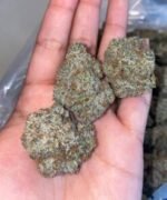 Oreo-runtz-247x296 Looking for Oreo runtz strain online in USA , UK , AUSTRALIA | Where buy Oreo runtz strain online in CANADA , EUROPE , USA