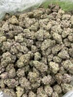 SHERB-CAKE-F2-MEDIUMS-STRAIN LOOKING FOR SHERB CAKE F2 MEDIUMS STRAIN FOR SALE IN USA , UK , AUSTRALIA | BEST PLACE TO BUY SHERB CAKE F2 MEDIUMS STRAIN ONLINE | SHERB CAKE F2 MEDIUMS STRAIN