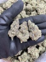 Super-Runtz-strain Super runtz strain for sale online