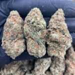 Baja Blast Strain