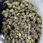 Cookies Smalls strain