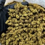 Wedding Cake Smalls strain